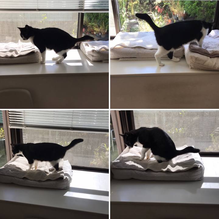 Bceec1e2 7841 42f1 8acb 471963fdbc09 1508922203841