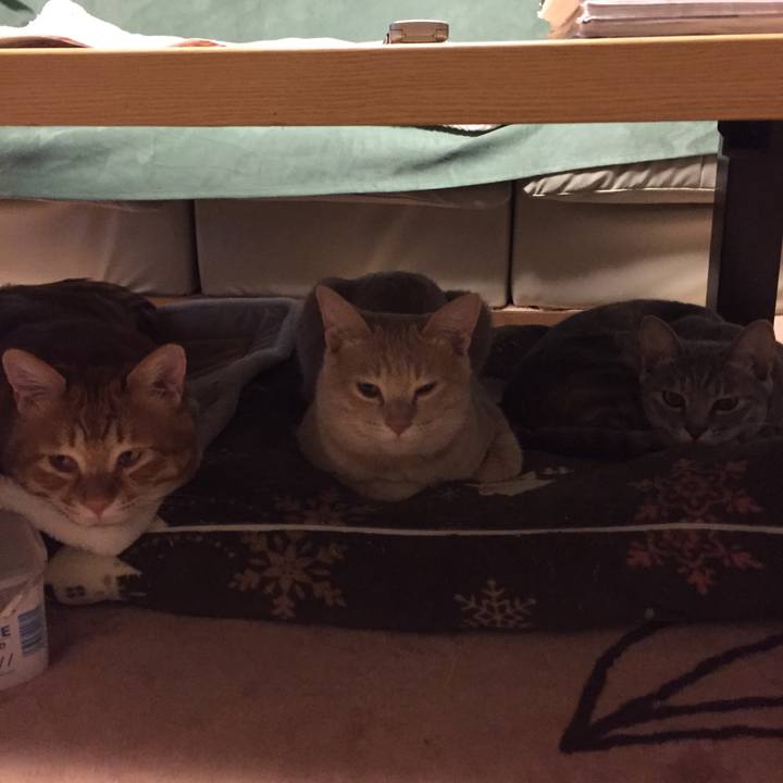 Bceeda61 6b5f 4857 95ab 516f977c9c53 1550146948835