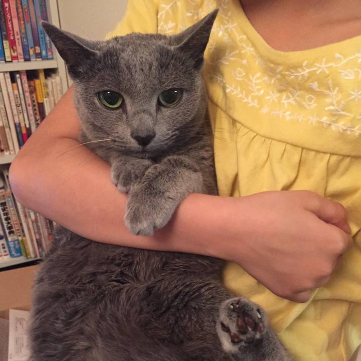 Bceeebea 8d50 481b 9b20 2add55b5776b 1555675850543