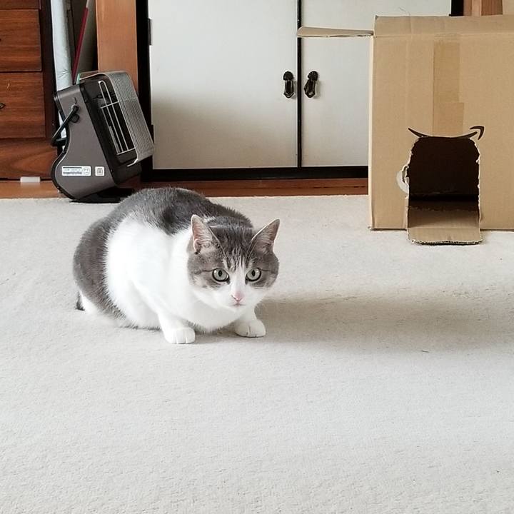 Bceeff31 b6a2 45a5 8f63 1117a507fc1b 1591139685388