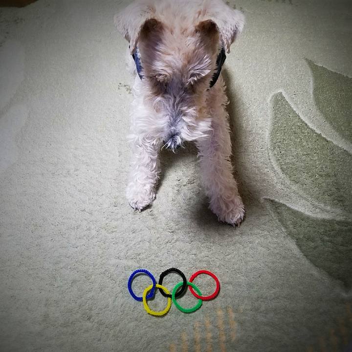 Bcef245e bef1 4fbb 8c34 3a87ff95a2cd 1518338444962