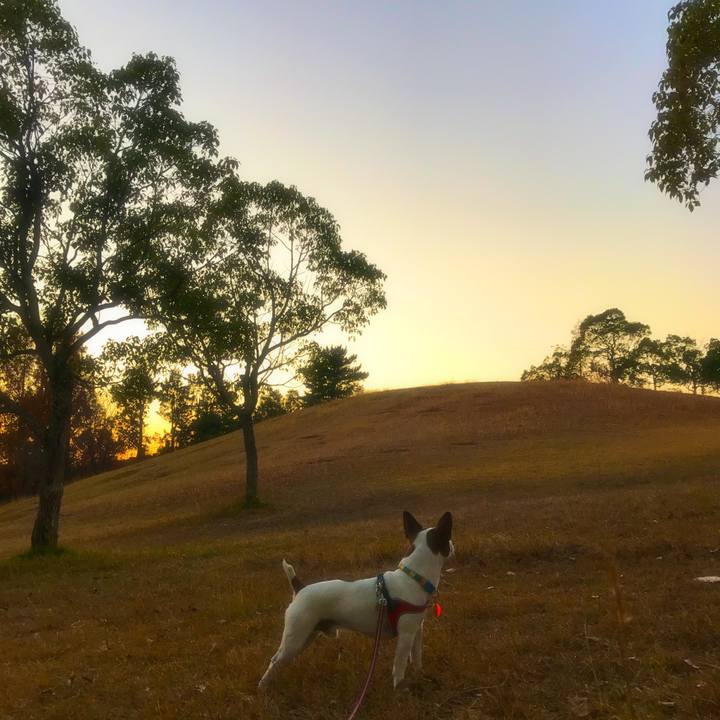 Bcef9a31 4593 40fb b343 db8270bda87d 1511874756416