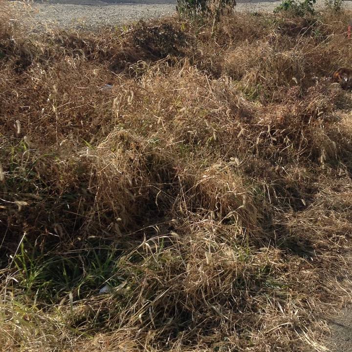 Bcefb109 9656 4433 b6df e67c73a700b9 1547698386842