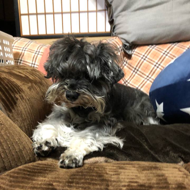 Bcefc167 4280 42c6 973a 7c8691556e34 1621782961552