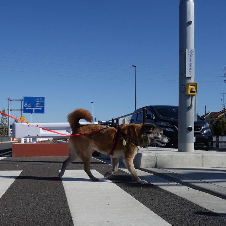 Bcefc20e 70d1 4333 8674 4ccccec3108d 1521251904635