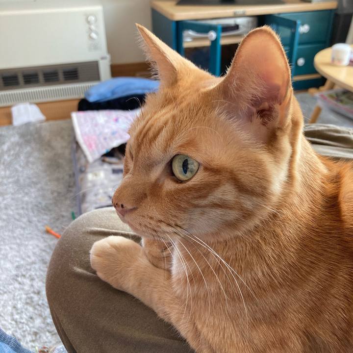 Bcefed6a 3ed6 4fa5 b7f8 3ce126fea3b8 1715961491660