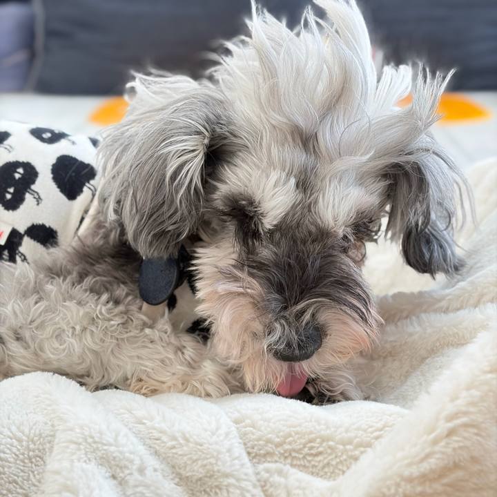 Bceffd95 129d 4748 9625 658ab18723b8 1772254888330