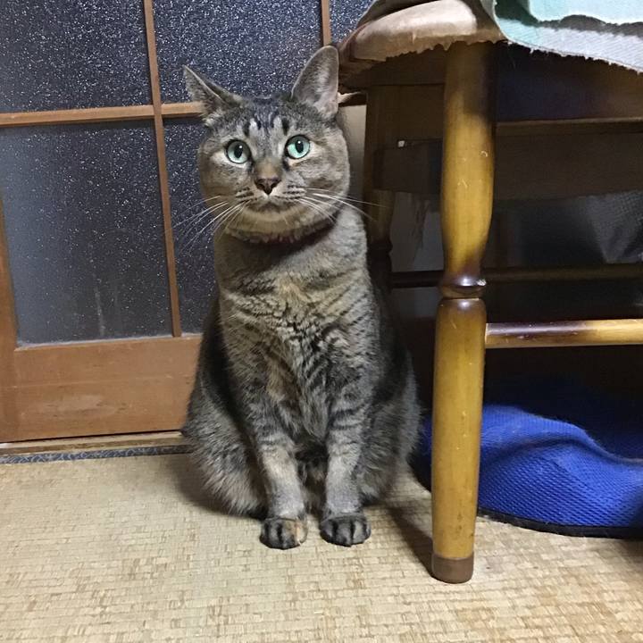 Bcf01030 d676 4601 81de 98ff7c652192 1729251872847