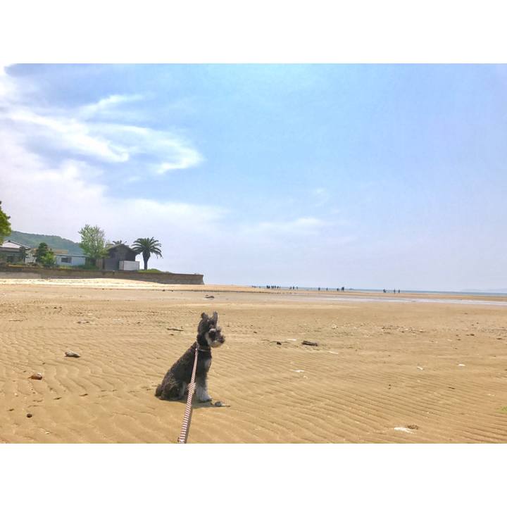 Bcf036be c88b 4e77 93bc cb7debc0f756 1556890860591