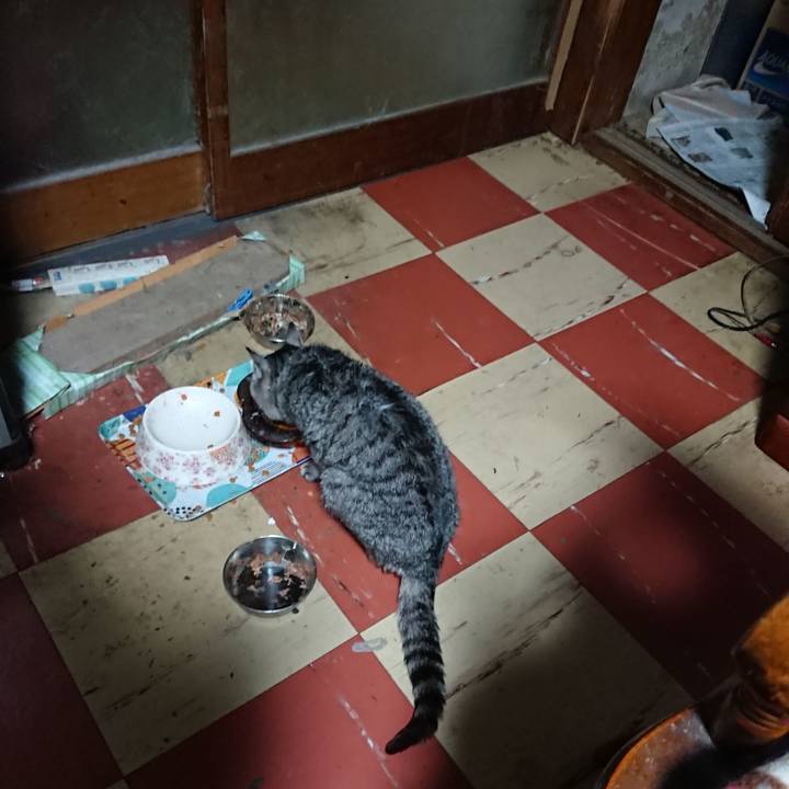 Bcf09b10 11ee 454c a6a3 3b95bc96ae35 1576180603884