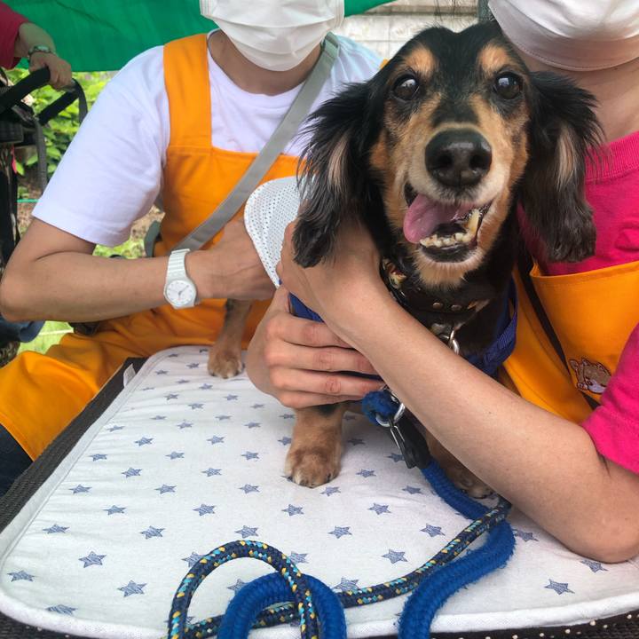 Bcf0f18e 75db 4956 b80e 6b97dcdf97f8 1624227606800