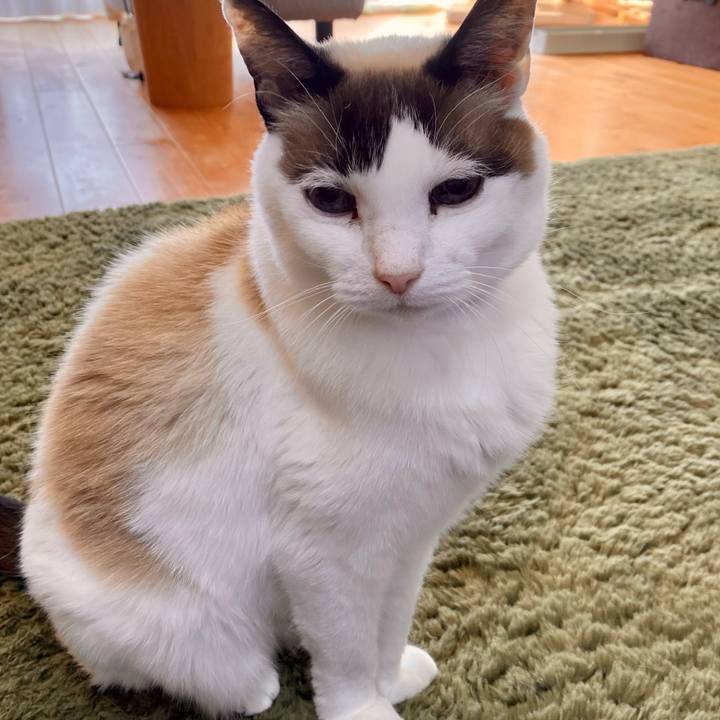 Bcf0fd51 41fe 4390 9922 b62c979910d4 1675304260689