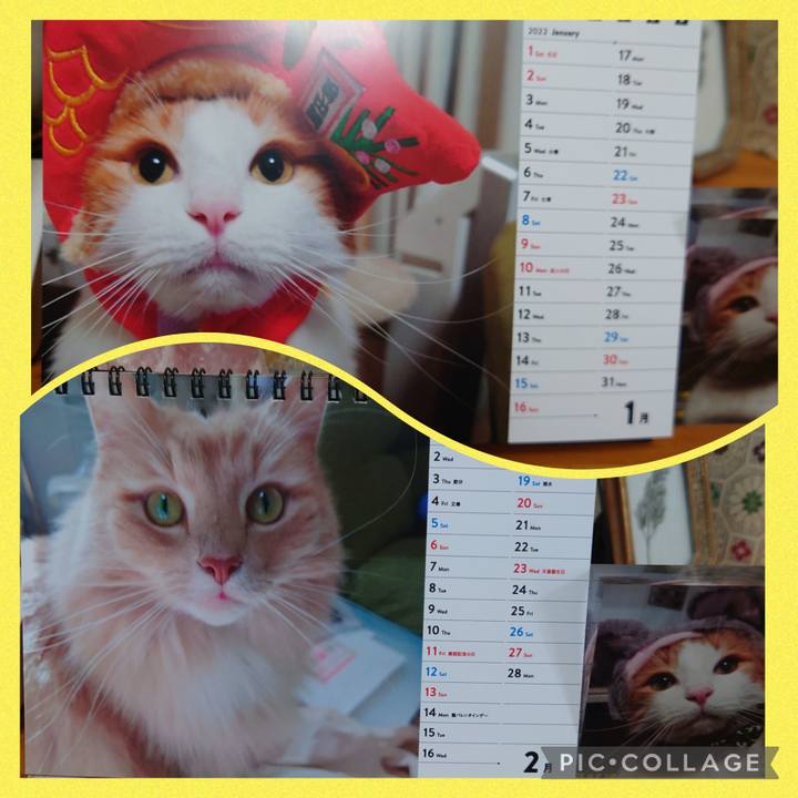 Bcf11712 3322 4484 a7c9 f2e189e07883 1644255492555