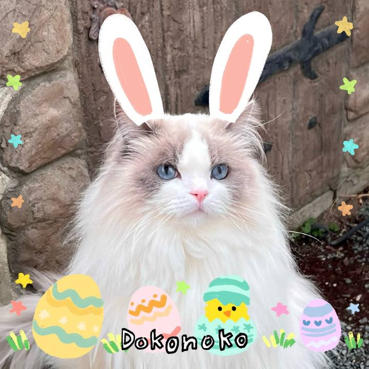 Bcf13ebb d655 4d01 9cd3 ff2c18fa54bb 1712220747759