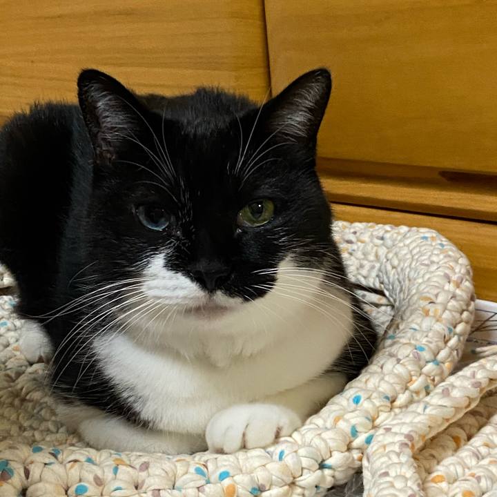 Bcf15052 fbf5 4bfb 90e0 3eef2bdaaee7 1631975066009