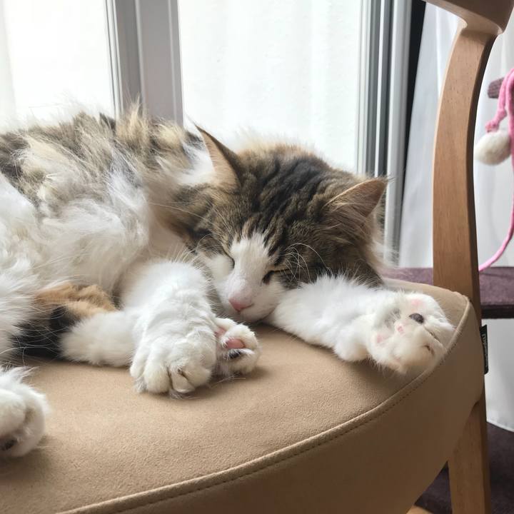 Bcf16a3f f94a 40f5 89c2 adc79da57996 1527553062091