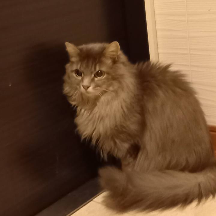 Bcf19187 5b7b 4937 84dc e4eb2159c966 1673989325943