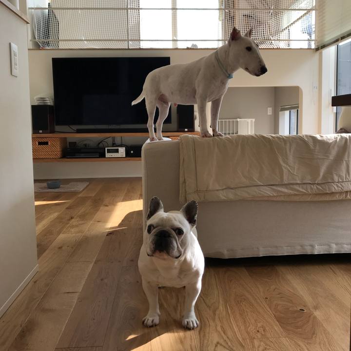 Bcf1b1a1 5156 4da0 8db1 5a79fad9c22e 1572522578771