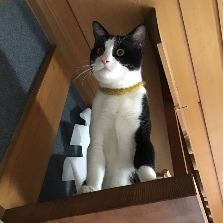 Bcf1b7d4 dc8c 42d7 a351 a4c3a1d726ca 1647578976543