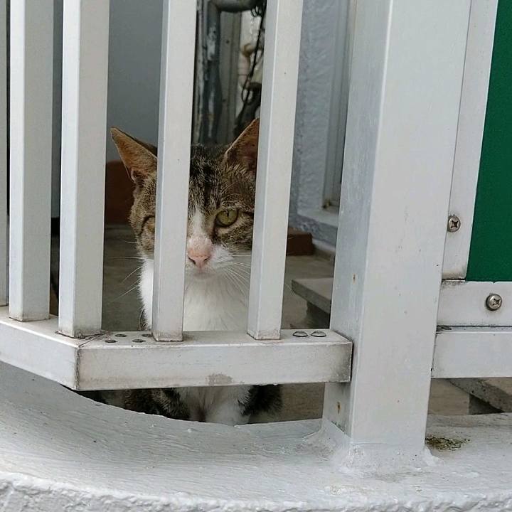 Bcf1c120 b057 40af a418 448d02a2ed9b 1596410368571