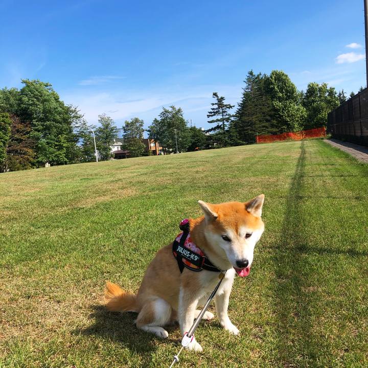 Bcf1fbec 3b0a 4e06 86de 483ec44734e9 1598318425007