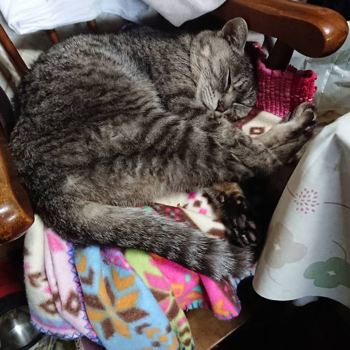 Bcf2007e 3fe8 472a b015 2c00a1013446 1556344354126