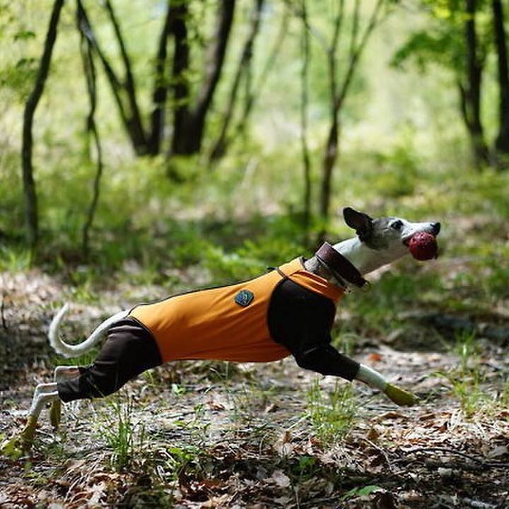 Bcf2150d 6999 4ada bc07 50290ac4b7ff 1527955094876