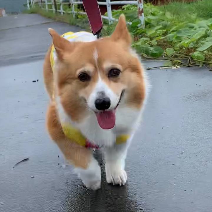 Bcf22b40 009c 4da8 8db0 fee19151a7c6 1685329300499