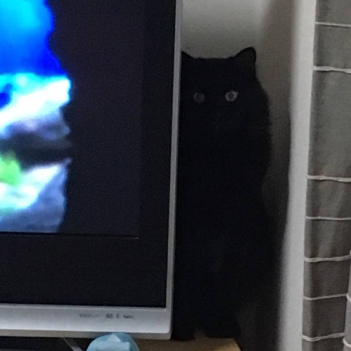 Bcf2549e da57 4ad1 ab9b 417213639628 1529676062731