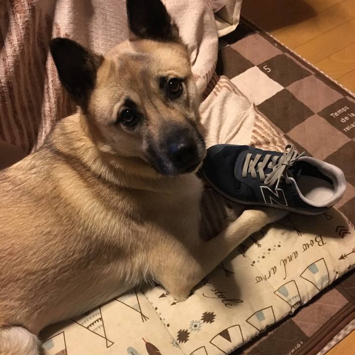 Bcf27192 766a 4f5f 8621 3d8bff9f2dc2 1518610486110