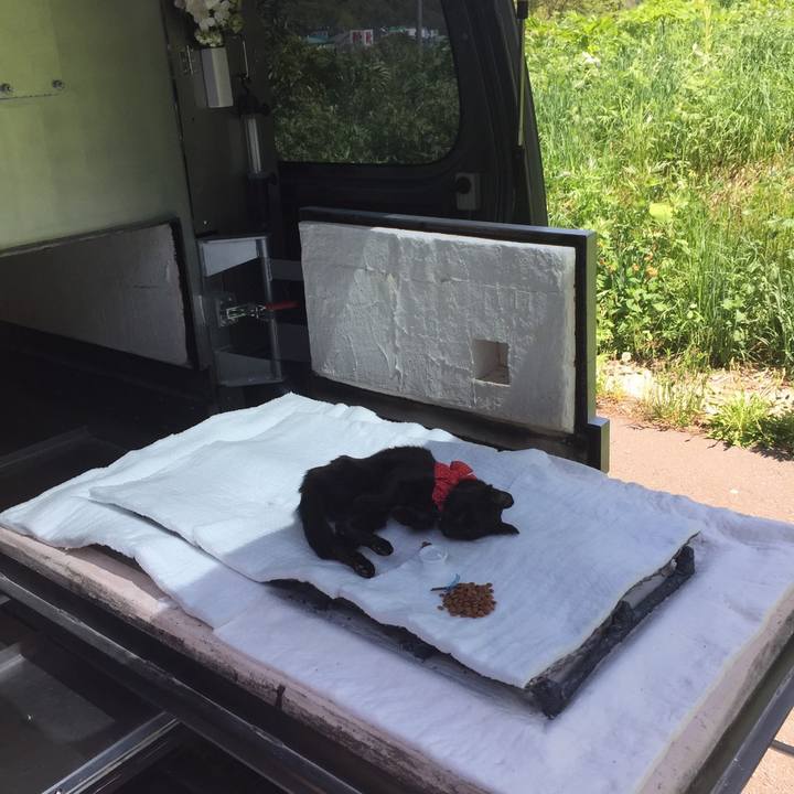 Bcf2896d 6b56 4610 a4ef 7b7e856cebbb 1558754864959