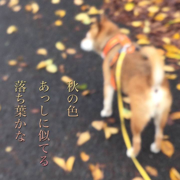 Bcf2ba71 fb4f 4855 ba1a fc06d58d2346 1630727930386