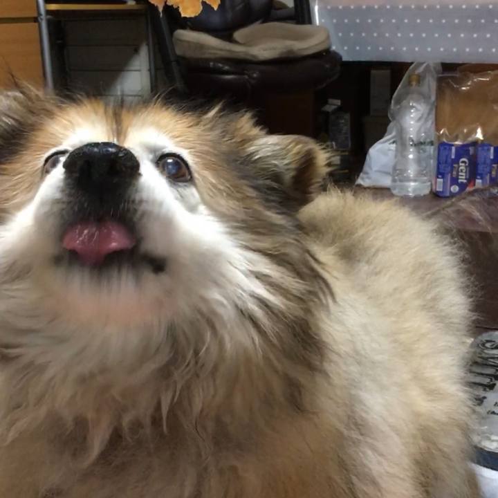 Bcf2c444 e676 43ee 9551 c882ab1937ab 1587575943022