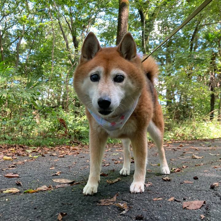 Bcf30134 18c0 476b 8739 3e1be95e4c04 1694318137589