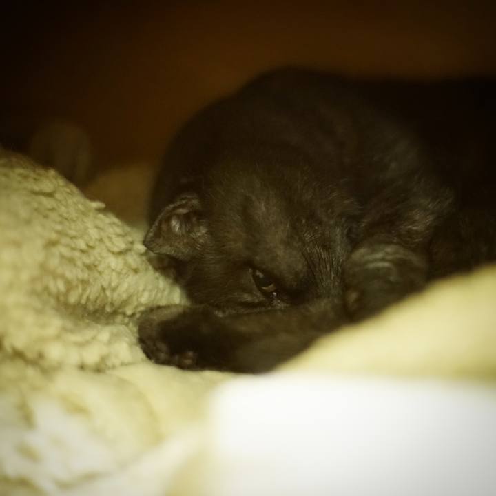 Bcf31899 df93 4a9d 9744 e3bd4c1ed5a8 1622289957993