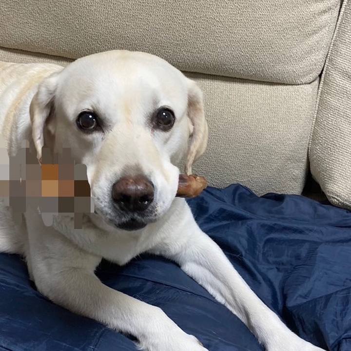 Bcf3265d ea69 4063 bed4 f42efe086ef4 1694084398087