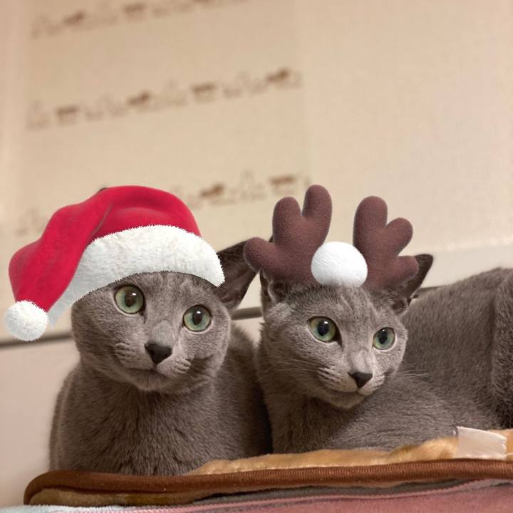 Bcf328e0 3714 4207 95a7 6c81e9c2a12b 1640300442887