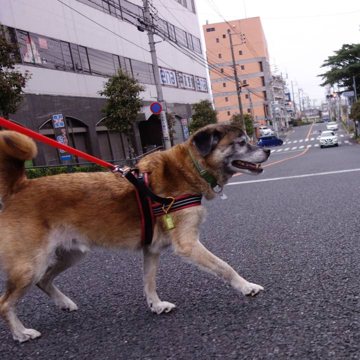 Bcf36cf7 b423 41ed 9e30 6f2ec26fc5c9 1569030490542