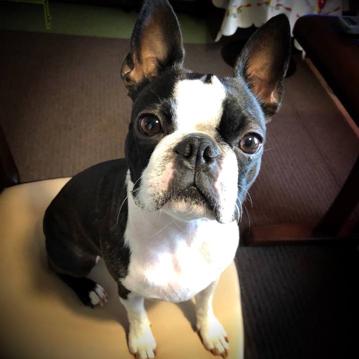 Bcf374ce 41bf 489b b7c6 72a705d11b38 1545717179849