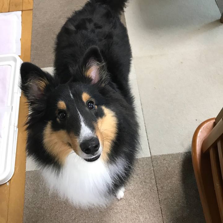 Bcf383d9 5bd4 41ea b907 b74b4e1ad0c5 1530655654747