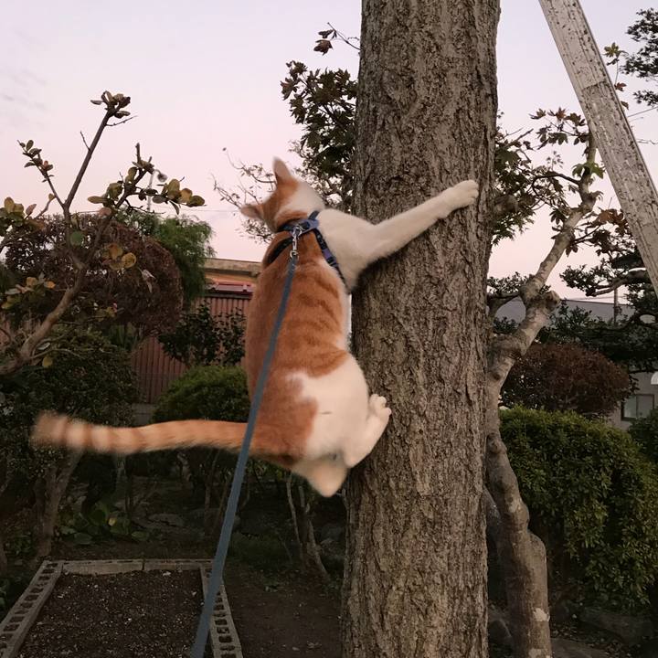 Bcf396f0 8af6 42d9 94c6 571bfbef15a6 1509004833823