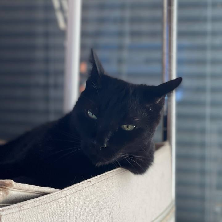 Bcf427dc 5aa6 42ea 997b 45ea4bf8d4f1 1621736772690