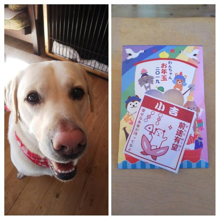 Bcf4385b 0f9b 40b6 a880 ccdd769b5319 1546654205890