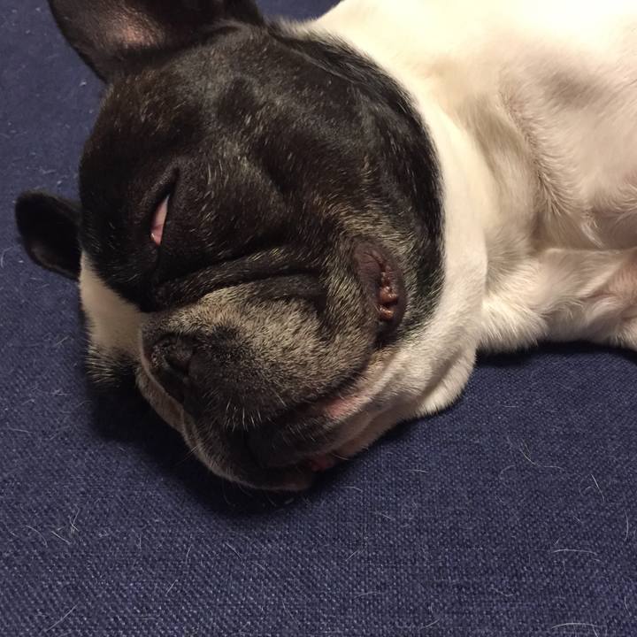 Bcf45a18 9fa6 43ae a191 e04f509df2ce 1550502233506