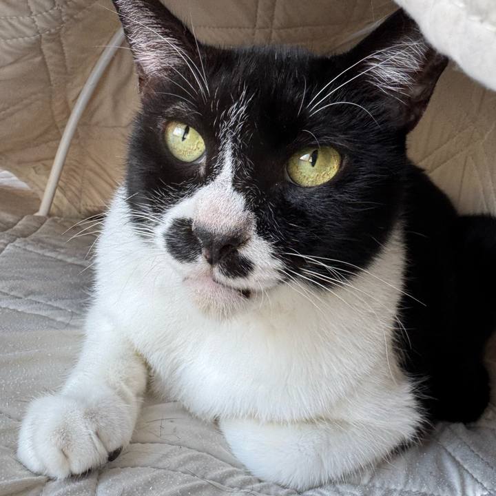 Bcf46fa5 9300 472e a012 b411c3fc029d 1756023672783