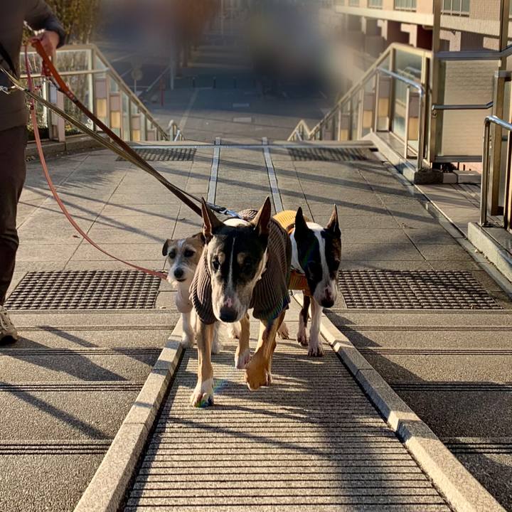 Bcf46fc0 93ef 4042 a1bd 37b3f9615acf 1608463007046