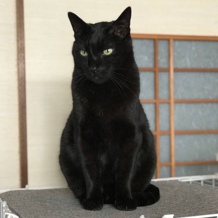 Bcf4940e 5113 4040 b181 46c405f63429 1521161126018