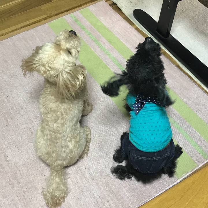 Bcf4ee3c bffa 4881 82bb 25426f6df451 1524976583573