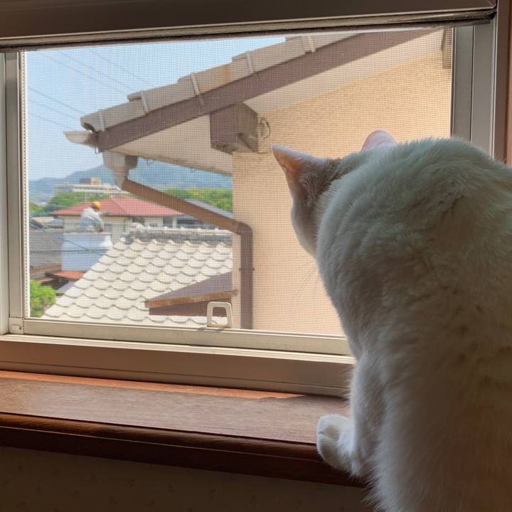 Bcf54398 503a 483f b80f 330998e87d32 1651974838783