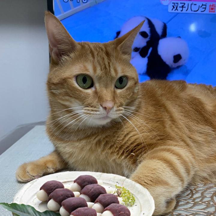 Bcf54b60 0857 4b81 8bfe 887aea6f742d 1632221138181